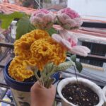 This is a Sample Post